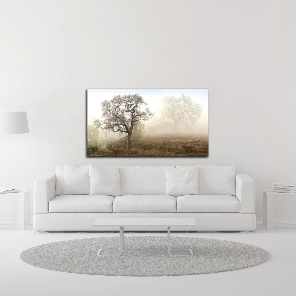 Sonoma Oak #1 by Alan Blaustein, Print on Canvas, 36"x20"