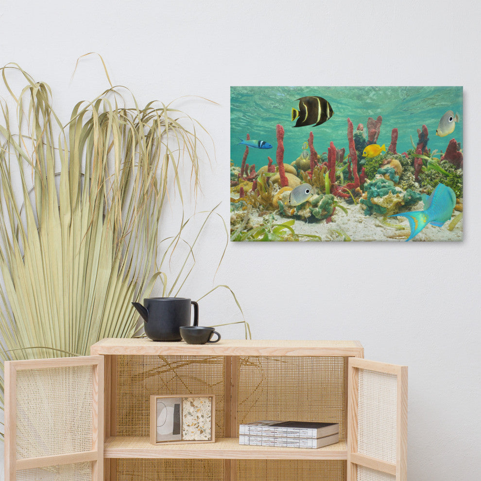 Colorful Tropical Fish Marine Life Coral Reef Wildlife Photo Canvas Art Print, 24" X 36"