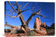 "Snag At  Fiery Furnace Labyrinth, Arches National Park, Utah" Artwork