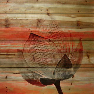 "Rose Petal" Print on Natural Pine Wood, 32"x32"