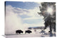 "American Bison In Winter, Yellowstone National Park, Wyoming" Artwork