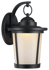 Chloe Lighting Abbington Transitional 1 Light Outdoor Wall Sconce, Black