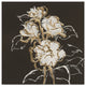 Chris Paschke ''Gilded Roses'' Canvas Art, 18"x18"