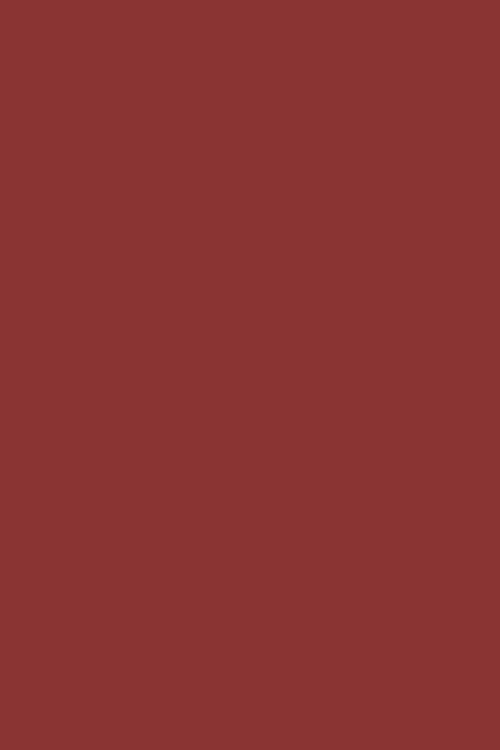 Radicchio Full Gloss Paint