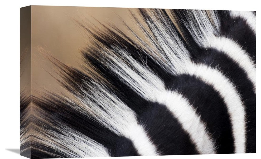 "Zebra Mane, Khama Rhino Sanctuary, Serowe, Botswana" Artwork, 18" x 12"