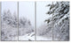 "Frosted Forest Trail in Fall" Photograph Print, 4 Panels