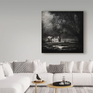 Piet Flour 'Under The Willow Tree' Canvas Art, 18"x18"