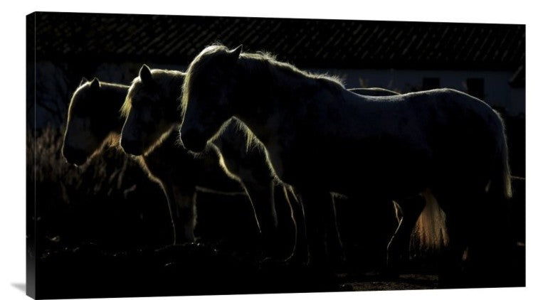 "Triplets" Stretched Canvas Giclee by Michel Romaggi, 30x17"