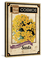 "Flower Packet Cosmos" Painting Print on Canvas