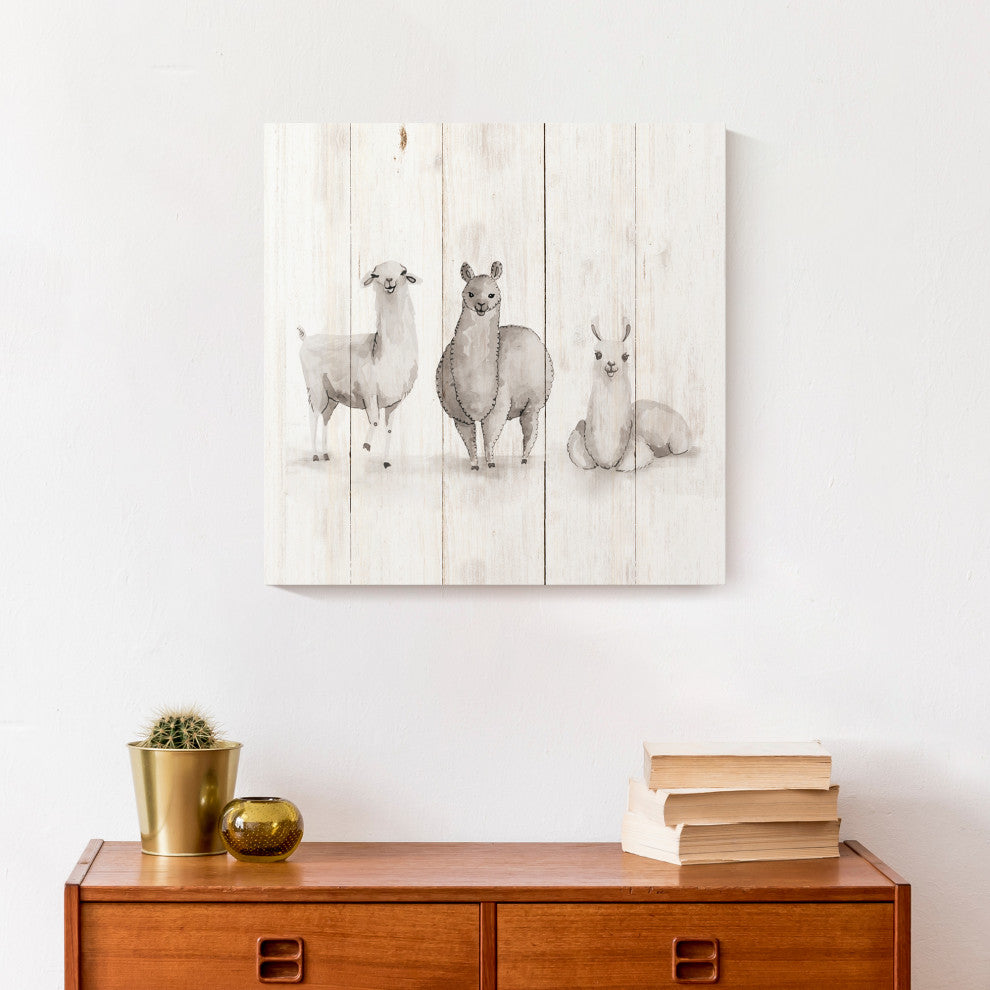 All The Llamas 16x16 Canvas Wall Art