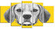 Funny Beagle Dog with Collar, Animal Canvas Art Print, 60"x32", 5 Panels
