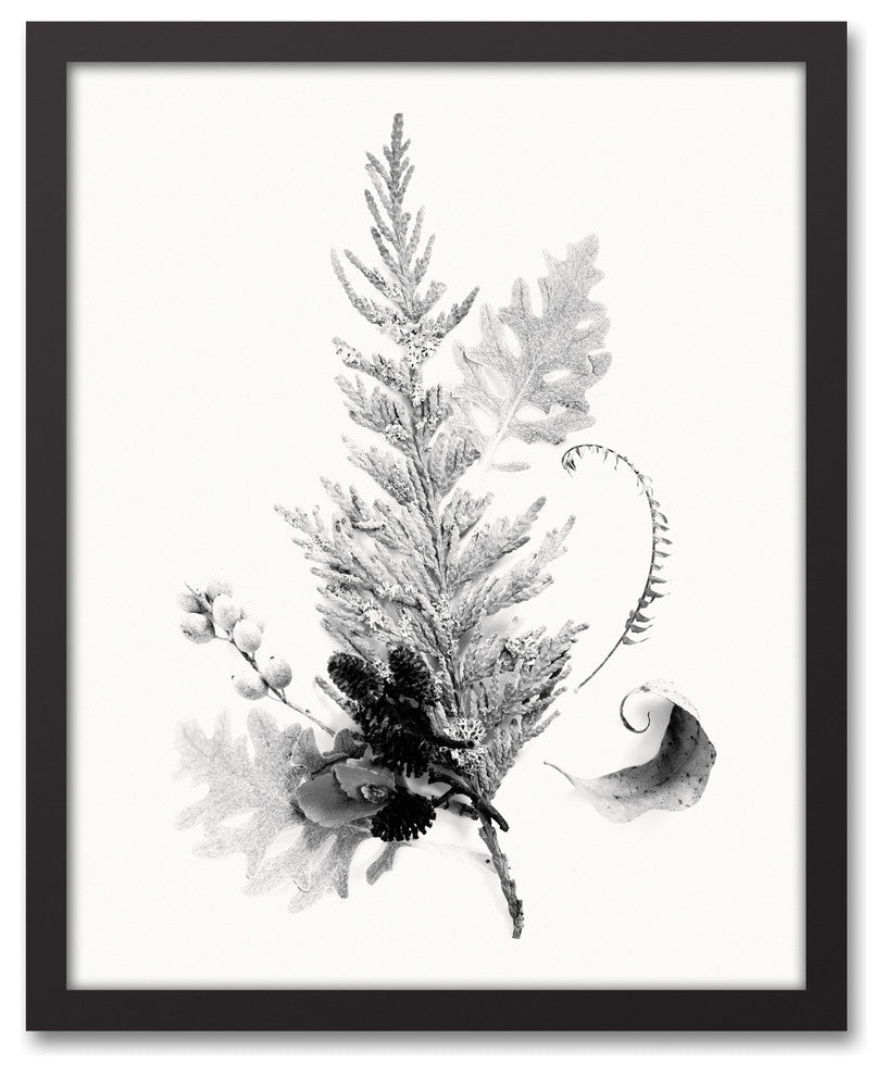 Black and White Transparent Fern 16x20 Black Framed Canvas