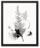 Black and White Transparent Fern 16x20 Black Framed Canvas