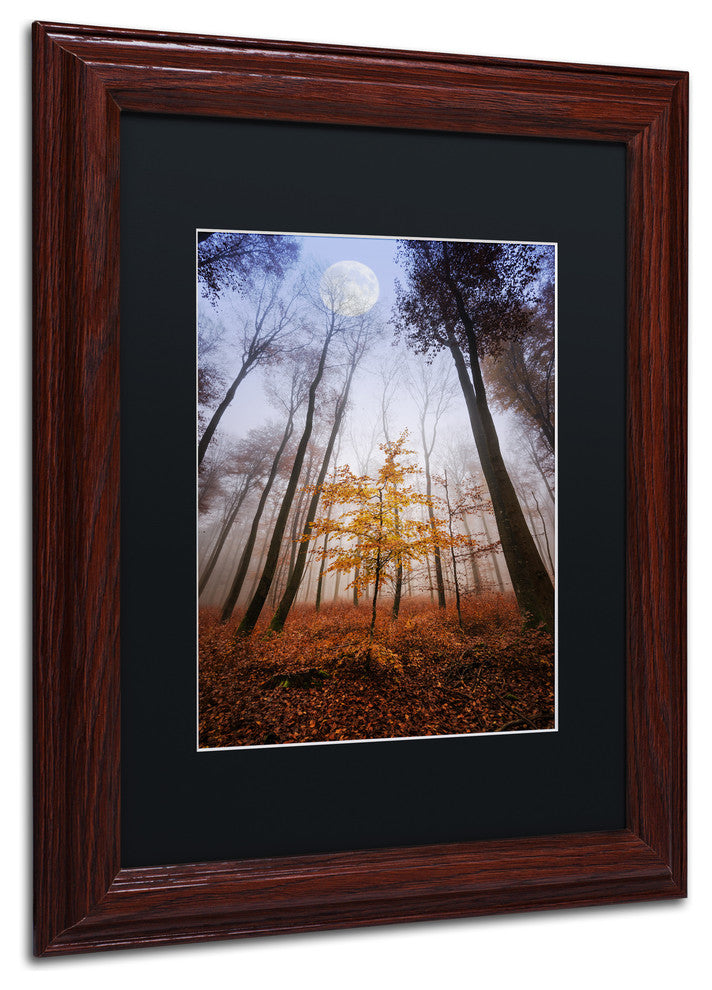 'Sentinel' Matted Framed Canvas Art by Philippe Sainte-Laudy