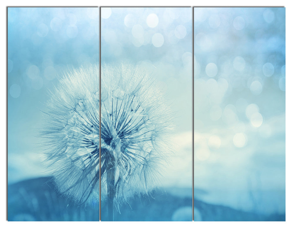 Close Up White Dandelion with Filter, Flower Canvas Wall Art, 36x28, 3 Panels