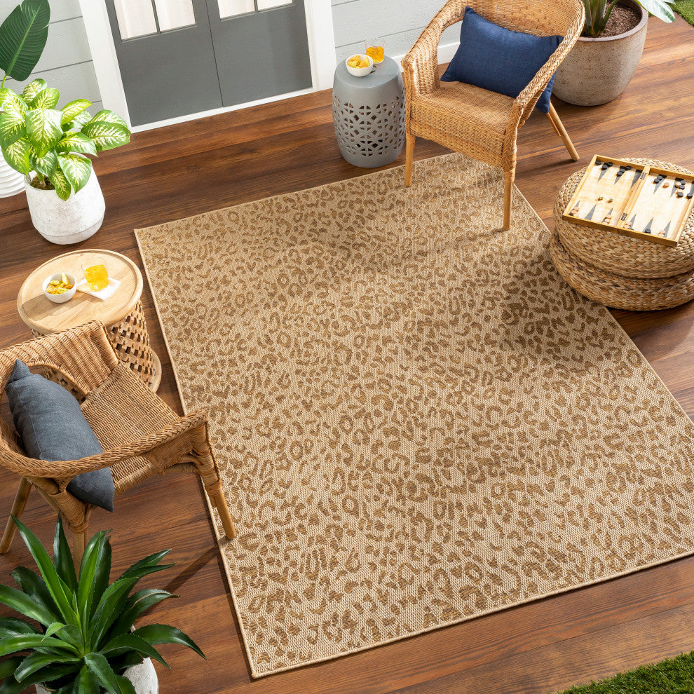 Surya Pismo Beach PMB-2300 Indoor/Outdoor Area Rug