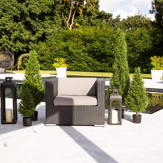 Outdoor lifestyle scene featuring the plant with furniture; full product visible.