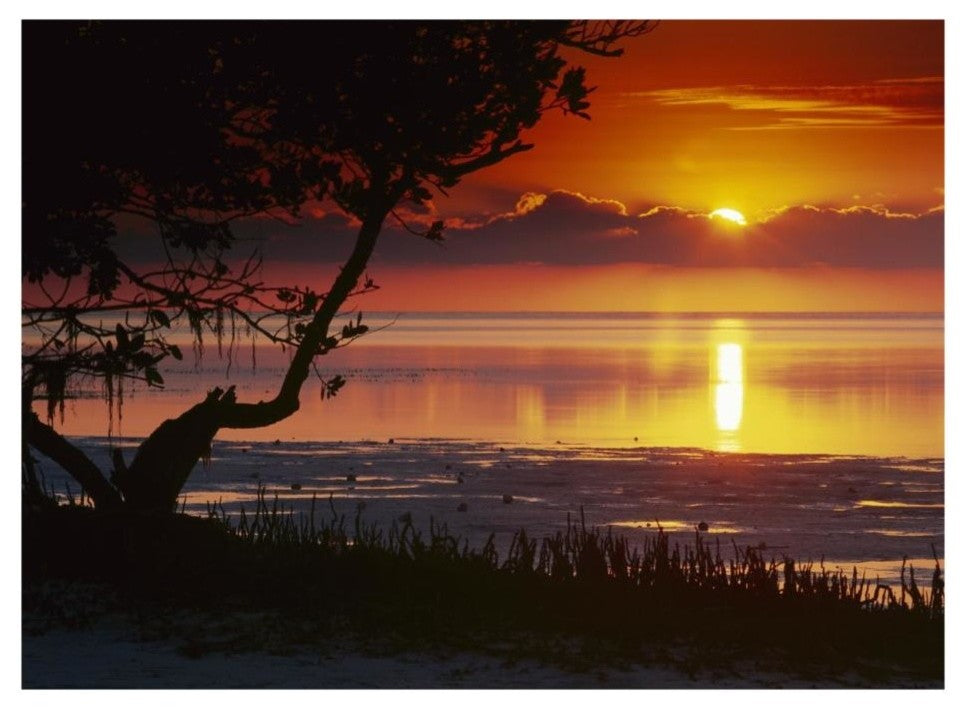 "Sunset over Anne's Beach, Florida" Paper Print by Tim Fitzharris, 26"x20"