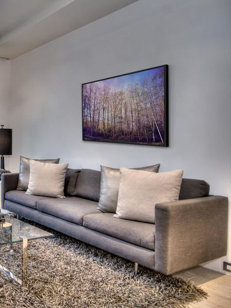 "Forest of Trees" Floater Framed Painting Print on Canvas, 36"x24"