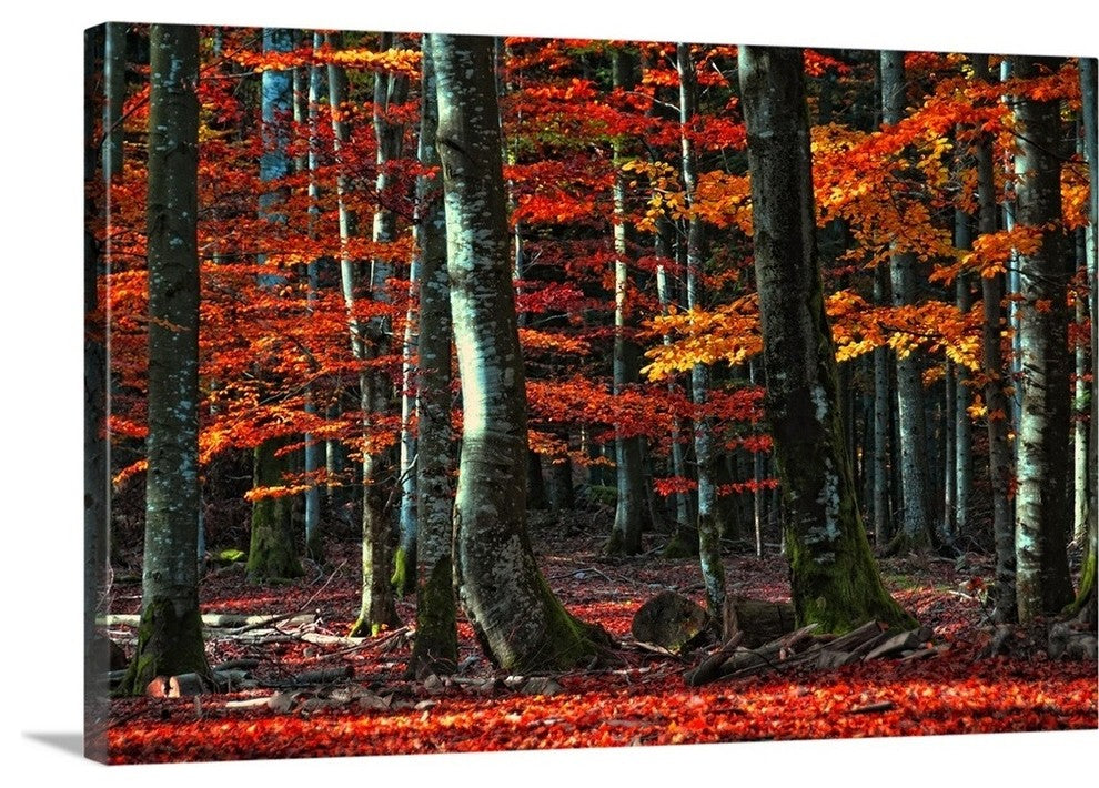 "Food for Soul" Wrapped Canvas Art Print, 24"x16"x1.5"