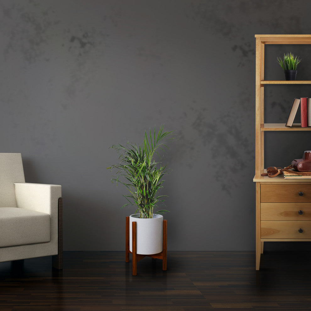 Wood Plant Display Stand, 12"