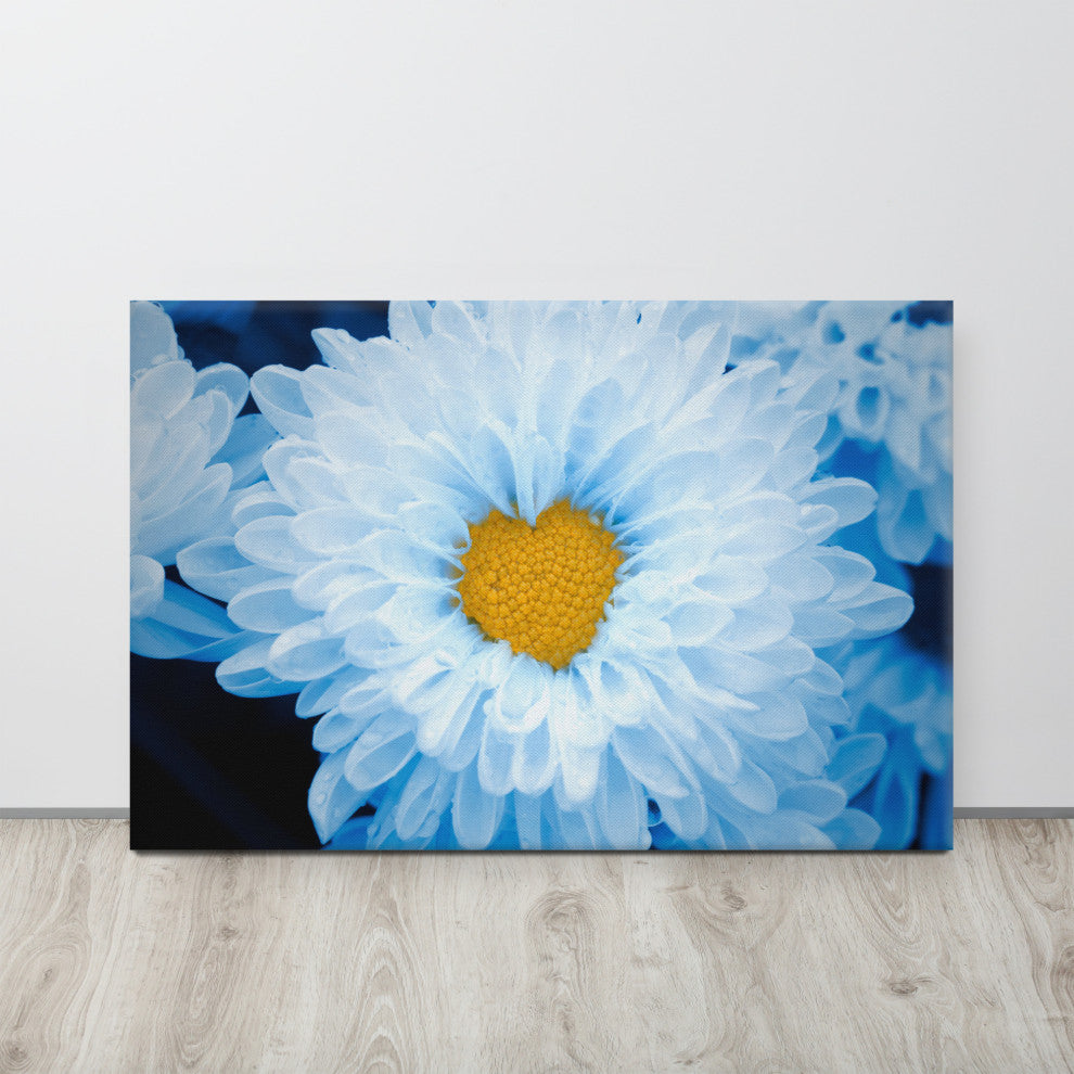 Blue Tinted Chrysanthemums Nature Photo Botanical Floral Canvas Wall Art Print, 24" X 36"