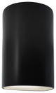 Ambiance, Small Cylinder, Closed Top Wall Sconce, Carbon Matte Black