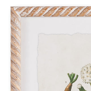 4-Piece Vintage Botanical Study Set