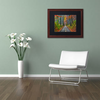 'Paths' Matted Framed Canvas Art by CATeyes