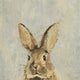 "What up Rabbit II" Painting Print on Wrapped Canvas, 48"x48"