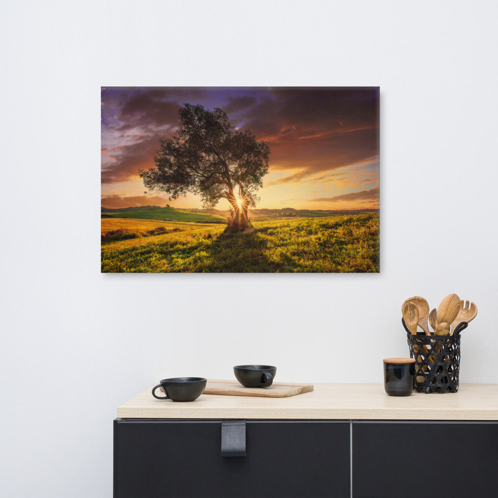 Countryside Olive Tree Sunset Landscape Photo Canvas Wall Art Prints, 24" X 36"