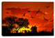 African Landscape with Warm Sunset, African Landscape Canvas Print, 60"x28"