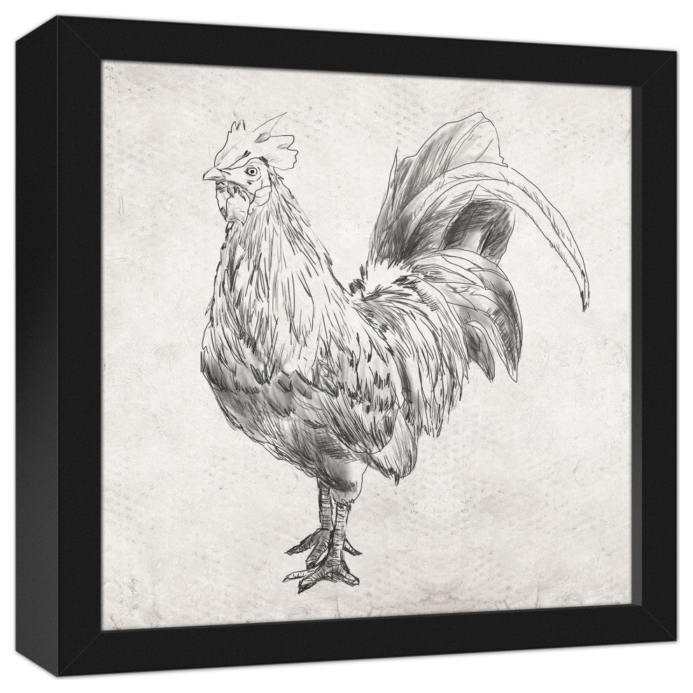 Sketched Black Chicken 12x12 Black Framed Canvas