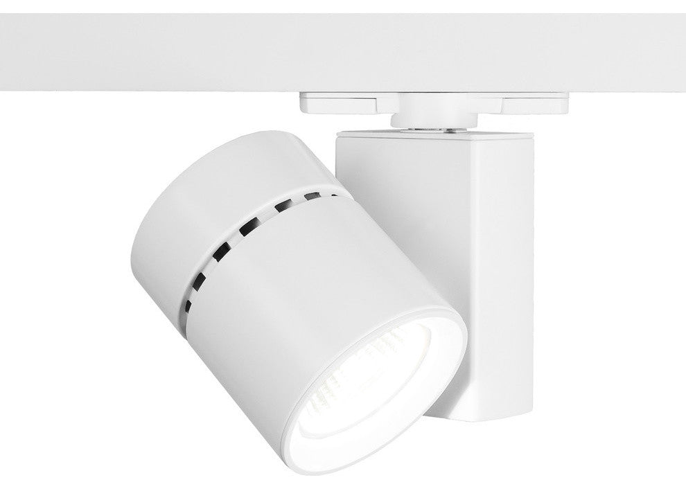 Exterminator II LED Track Head, White