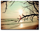Wind On The Water' Canvas Art Print, 12"x16"