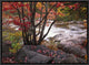 The Swift River, White Mountains National Forest, New Hampshire, 16"x12"