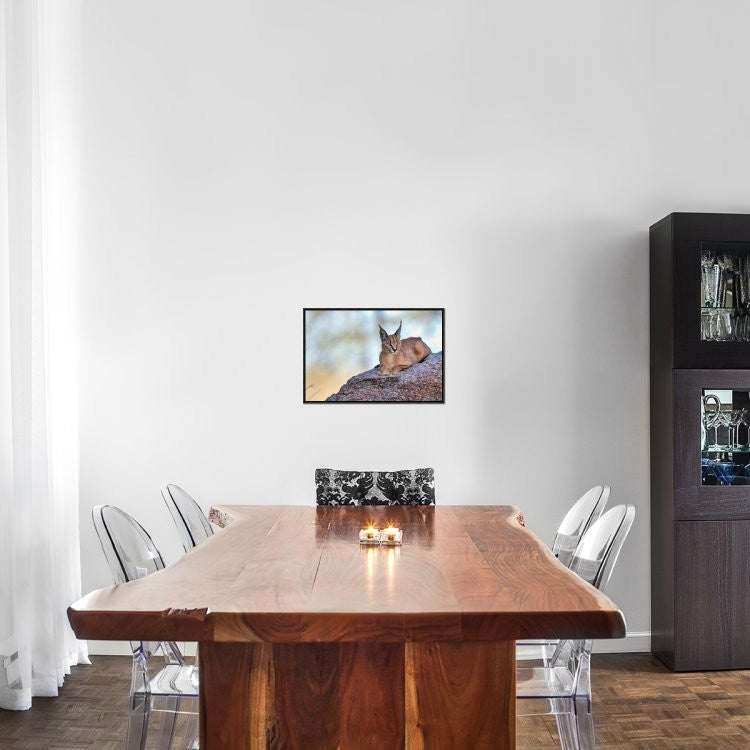 "Caracal" Framed Canvas Giclee by Alessandro Catta, 23x16"