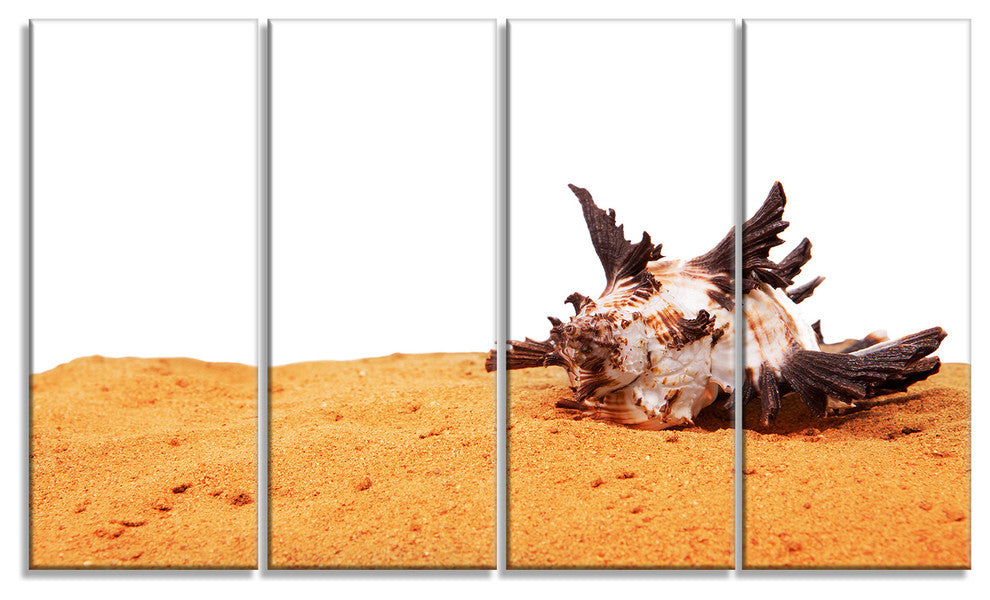 "Large Sea Shells on Sand" Canvas Print, 4 Panels