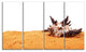 "Large Sea Shells on Sand" Canvas Print, 4 Panels
