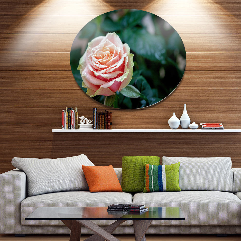 Red And Orange Rose Flower Close-Up, Floral Round Wall Art, 36"