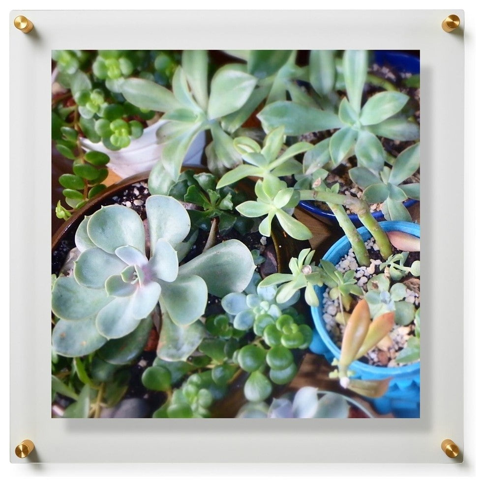 23"x 23" Double Panel Acrylic Wall Frame For 20"x20" Art, Gold Hardware