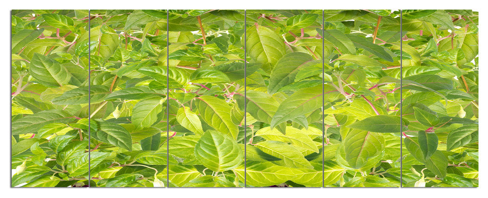 Bright Fuchsia Green Foliage, Floral Canvas Art Print, 70"x28", 6 Panels