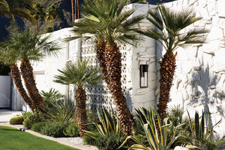 Hinkley Shelter One Light Wall Mount 1325KZ