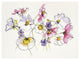 "Cosmos Cosmos Crop" Digital Paper Print by Shirley Novak, 26"x20"