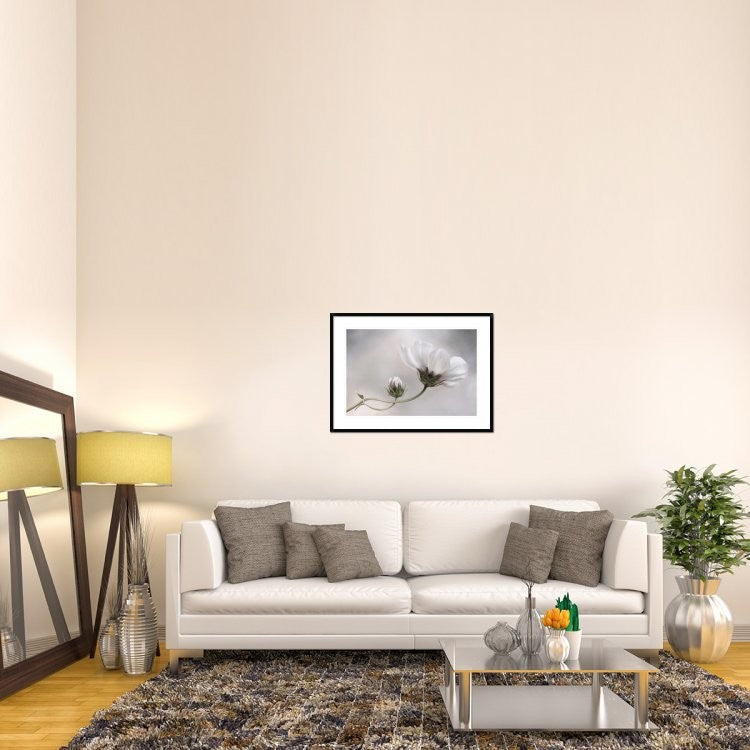 "Cosmos" Framed Digital Print by Mandy Disher, 38"x28"