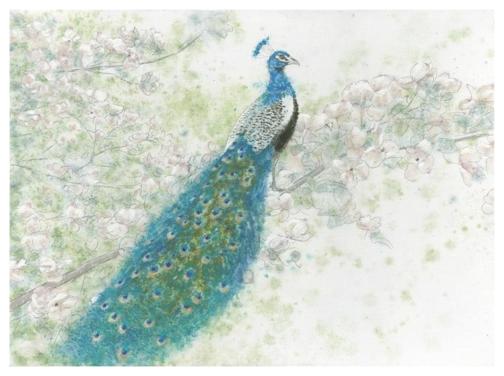 "Spring Peacock I" Digital Paper Print by James Wiens, 42"x32"