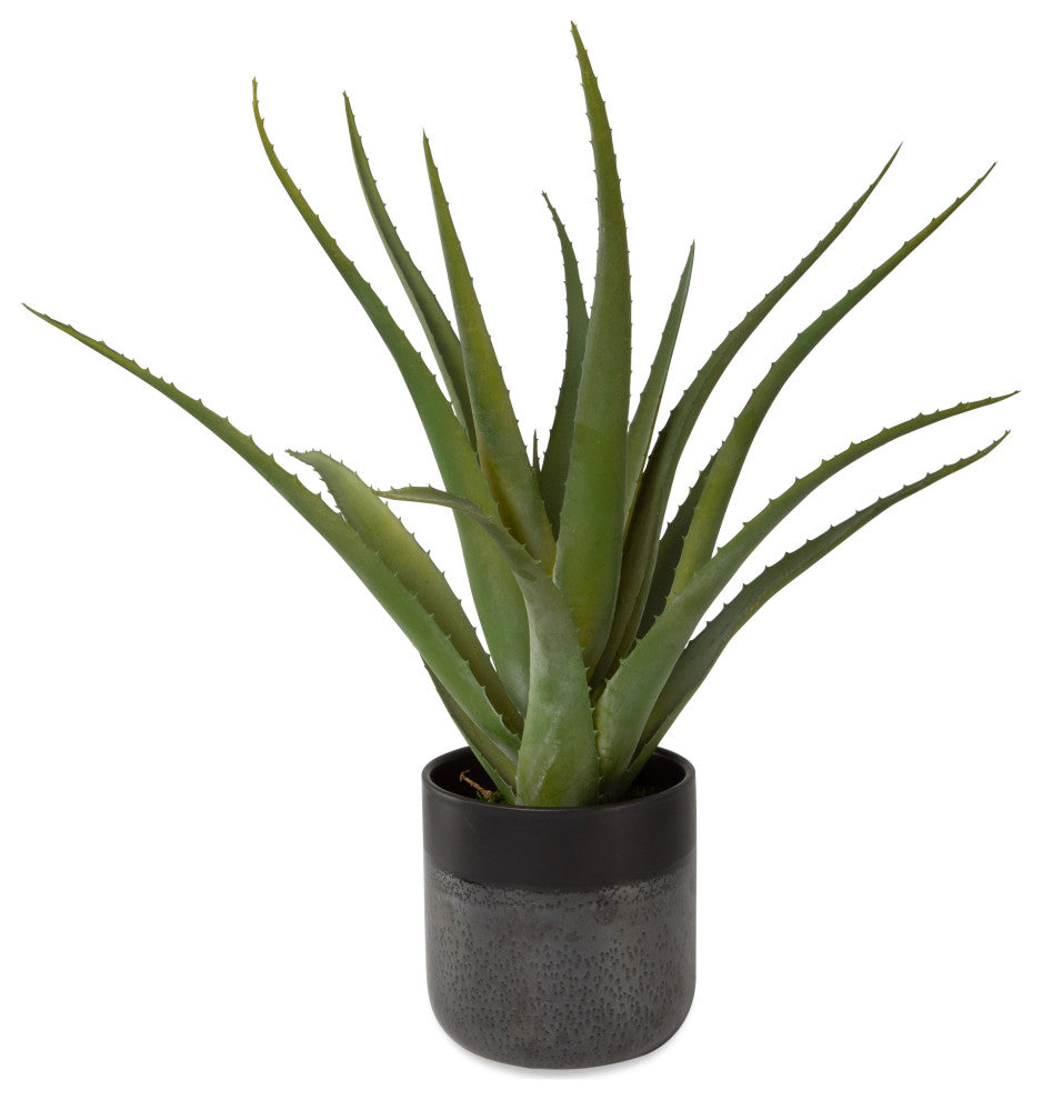 Tucson Aloe Planter