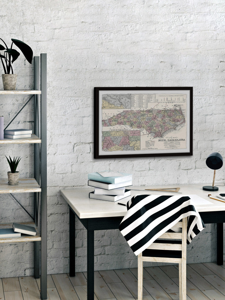 "North Carolina Overview" Framed Painting Print, 24x16