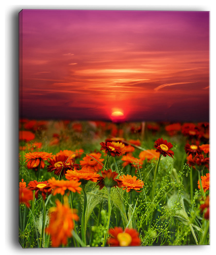 "Sunset Flowers With Red Sky" Modern Landscape Wall Art Canvas, 12"x20"