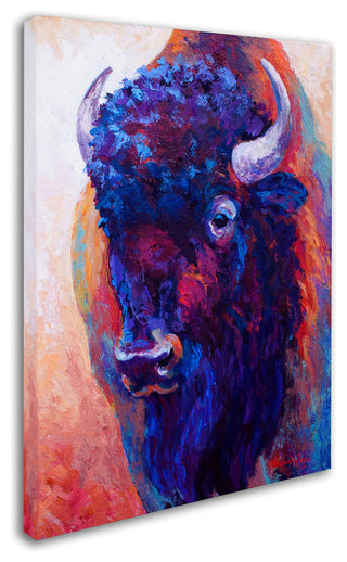 Marion Rose 'Thunderhorse' Canvas Art, 24" x 32"